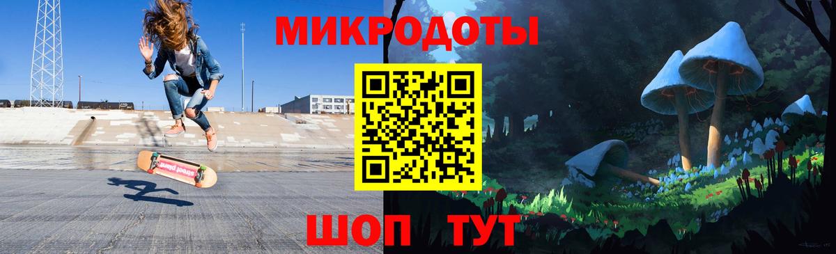 Кингисепп  Галлюциногенные грибы Psilocybe  Вход с VPN 